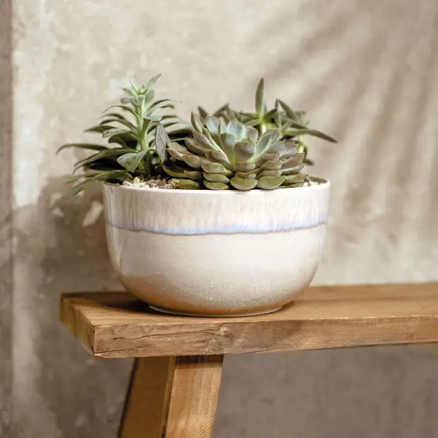 Zdjęcie produktu - 2