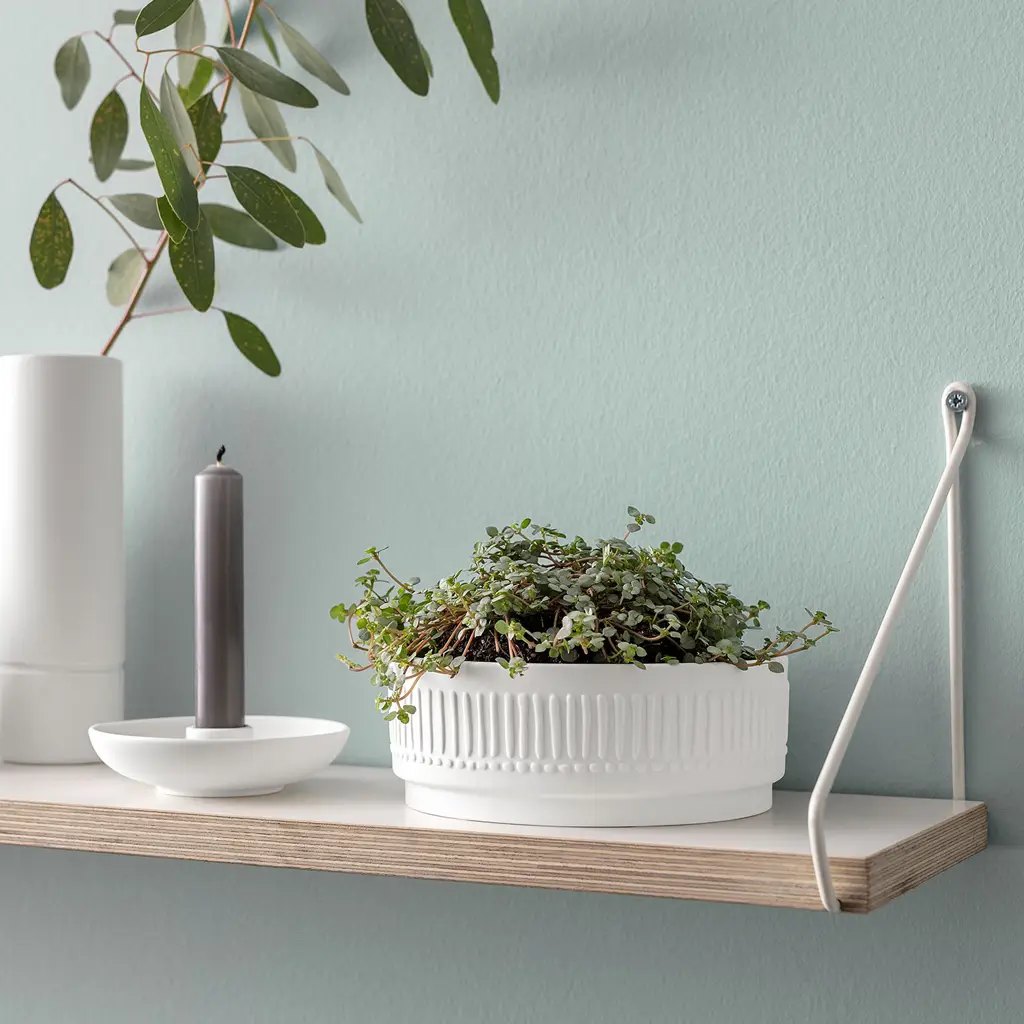 Zdjęcie produktu - 2