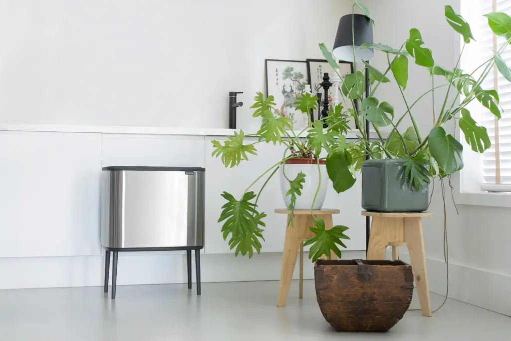 Zdjęcie produktu - 8