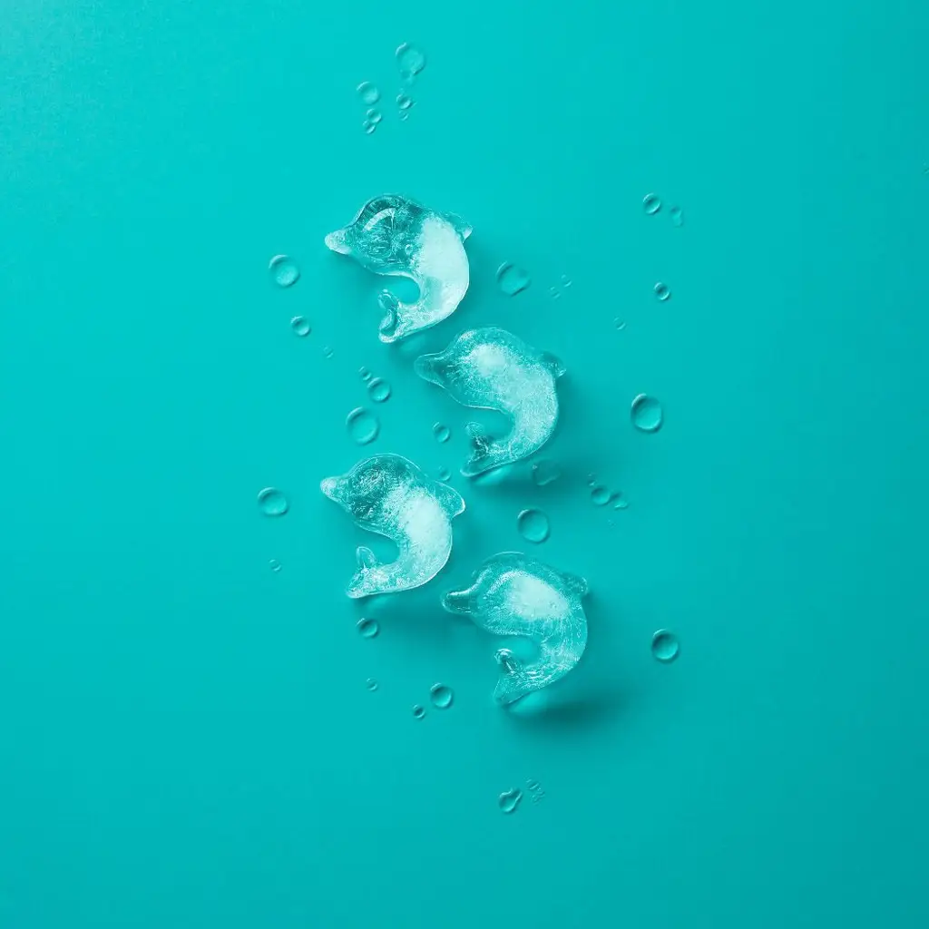 Zdjęcie produktu - 2