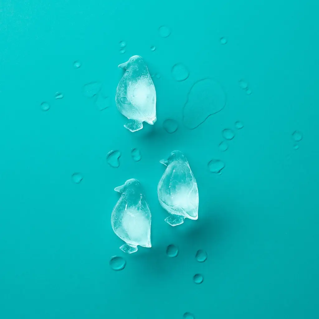 Zdjęcie produktu - 3