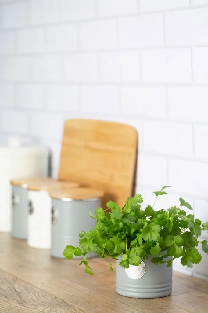 Zdjęcie produktu - 4