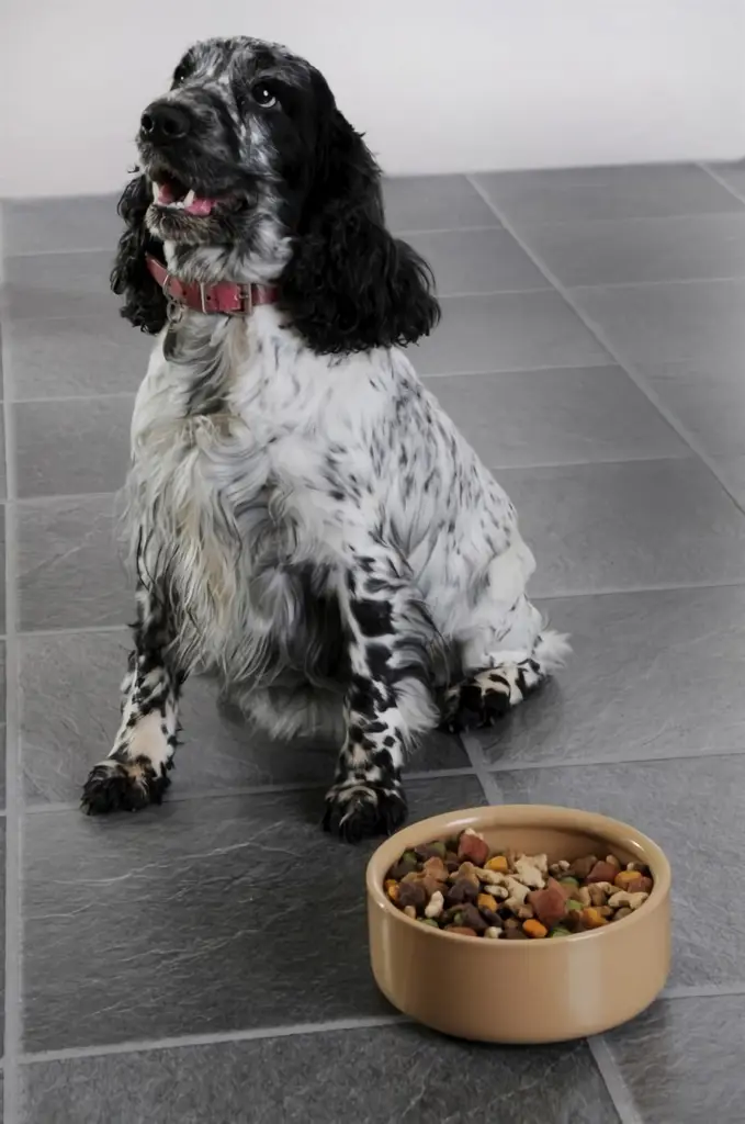 Zdjęcie produktu - 6