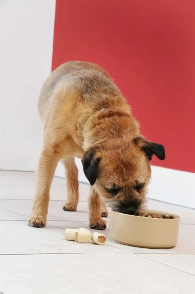 Zdjęcie produktu - 7