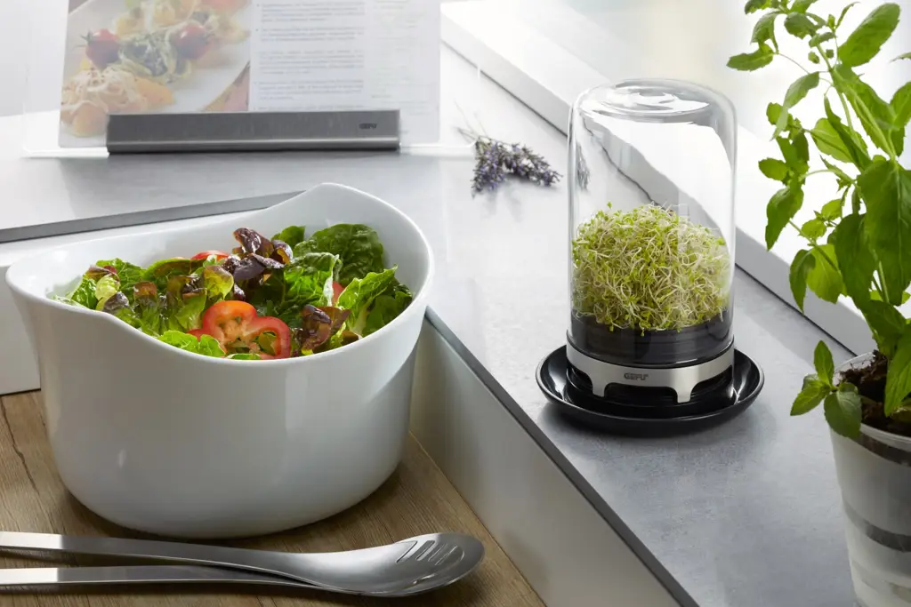 Zdjęcie produktu - 3