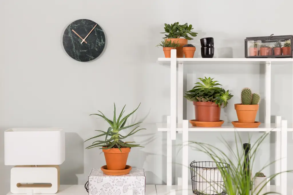 Zdjęcie produktu - 3